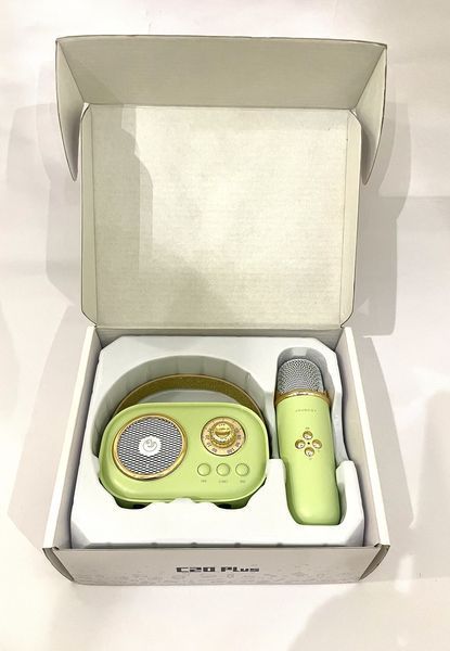 Bluetooth караоке-система Retro (салатовая) k-15-kk1163 фото